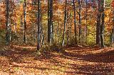 Divided Highway_24848